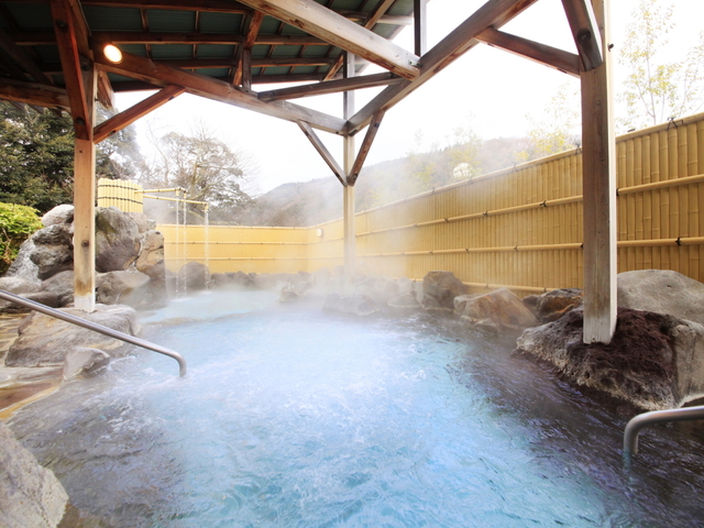 湯遊び処 箱根の湯の画像 1枚目