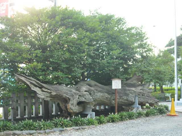 瀬戸神社の画像 4枚目