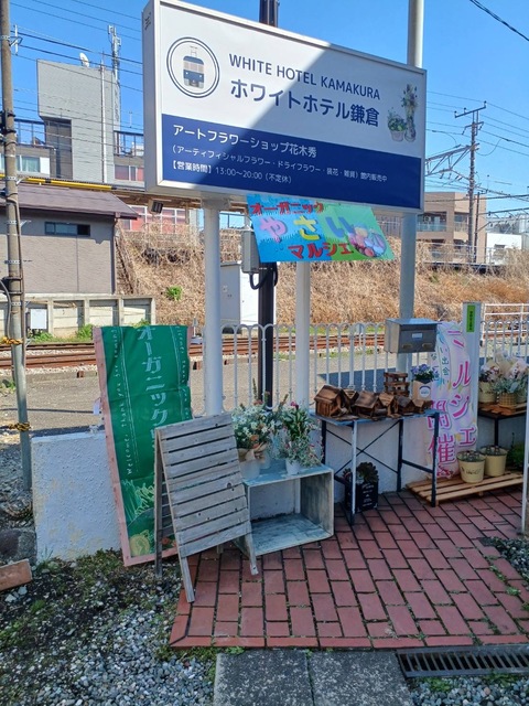 ホワイトホテル鎌倉の画像 3枚目