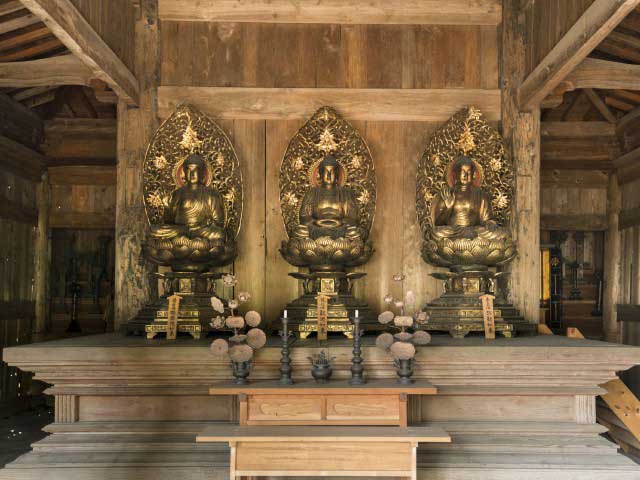 浄光明寺のヒガンバナ・スイセンの画像 4枚目