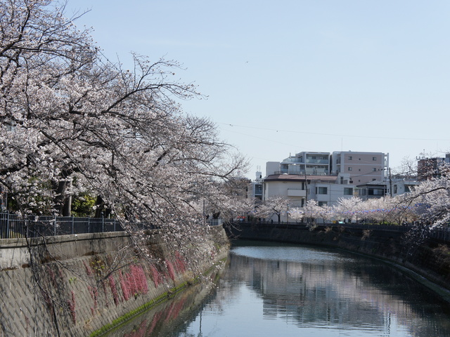 大岡川プロムナードの画像 1枚目