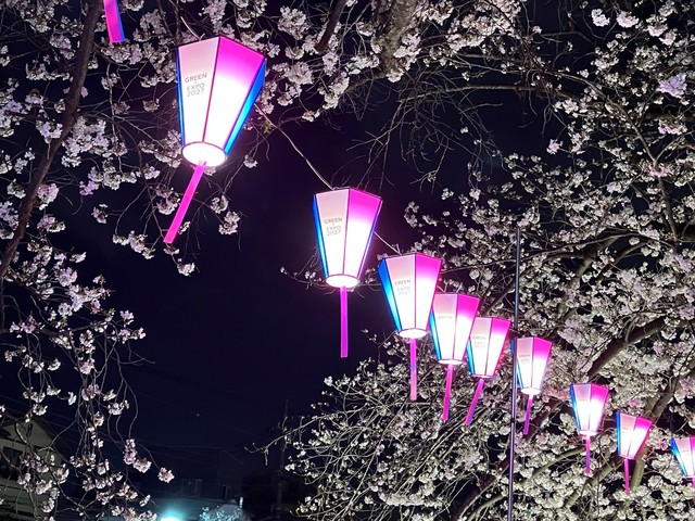 大岡川プロムナードの画像 2枚目
