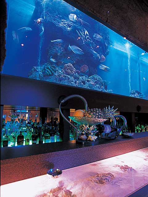 Dining Seafloor