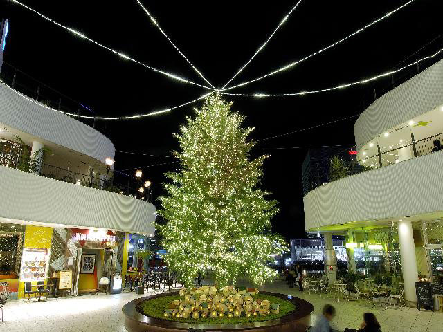 横浜ベイクォーター クリスマスイルミネーションの画像 3枚目