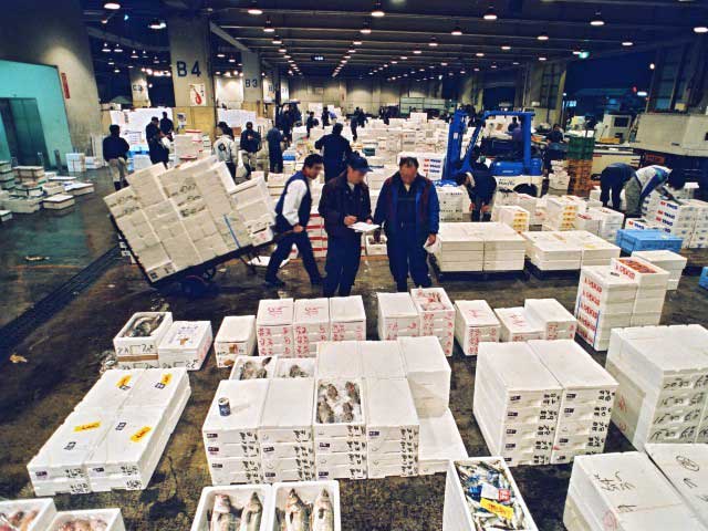 横浜市中央卸売市場本場の画像 3枚目