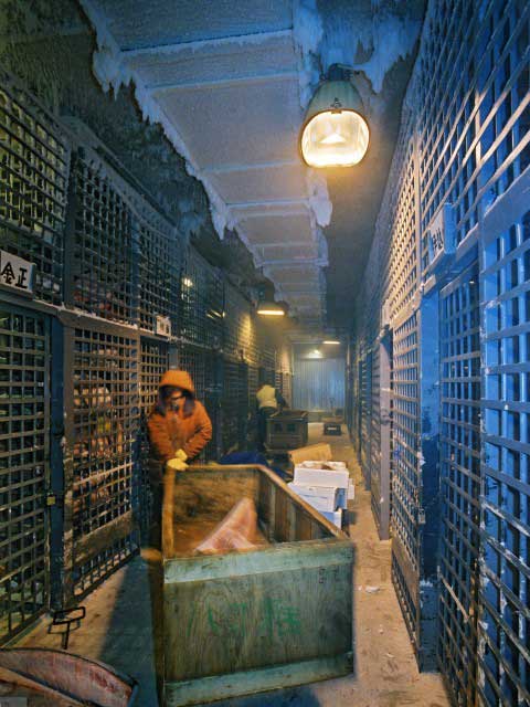 横浜市中央卸売市場本場の画像 4枚目