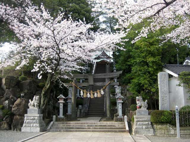 師岡熊野神社の画像 3枚目