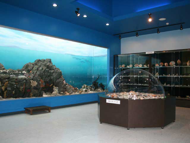 真鶴町立遠藤貝類博物館の画像 2枚目