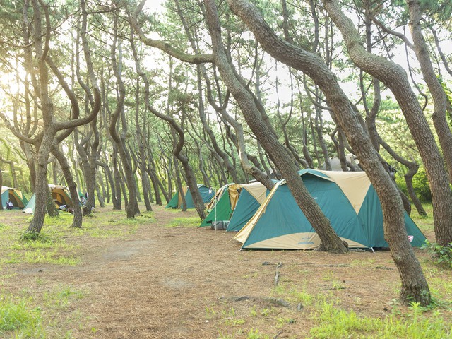 ちがさき柳島キャンプ場の画像 1枚目