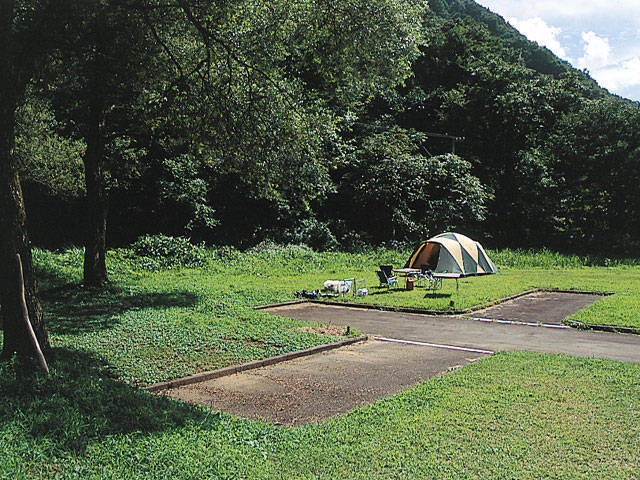 和泉前坂家族旅行村 前坂キャンプ場の画像 3枚目