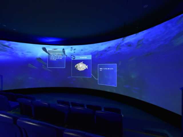 越前がにミュージアムの画像 3枚目