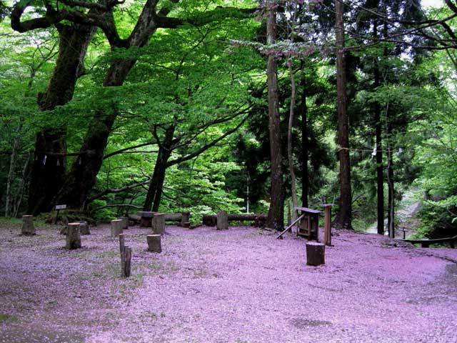 霊峰 越知山