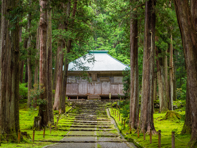平泉寺白山神社の画像 1枚目