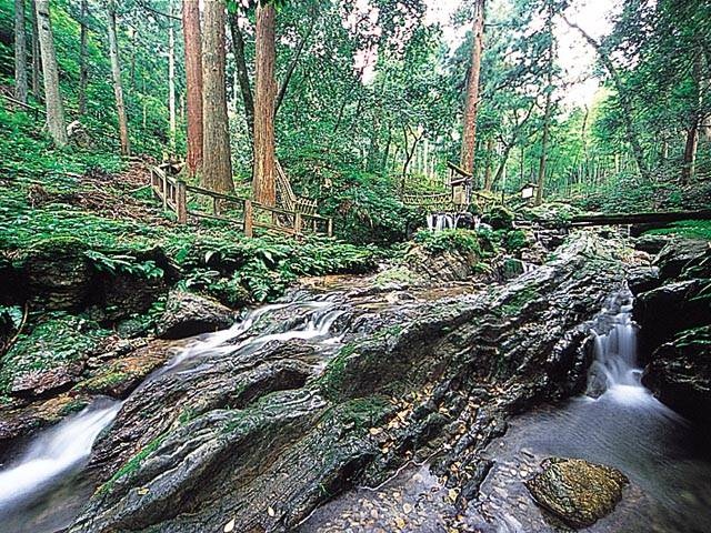 瓜割の滝の画像 3枚目