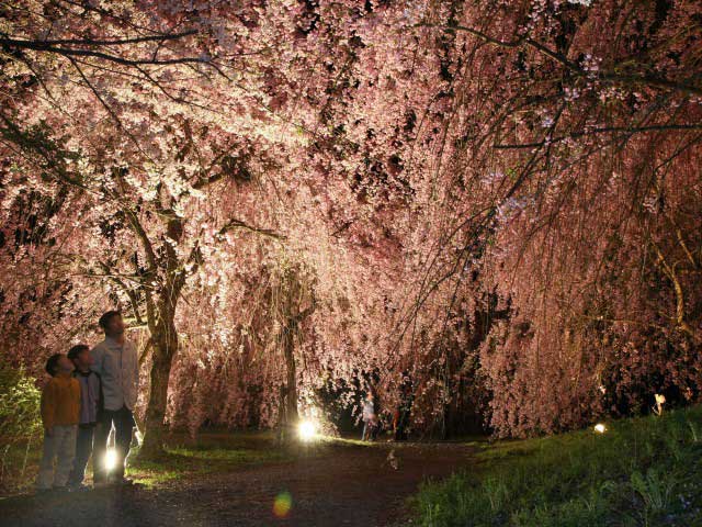 坂井市たけくらべ広場の画像 2枚目