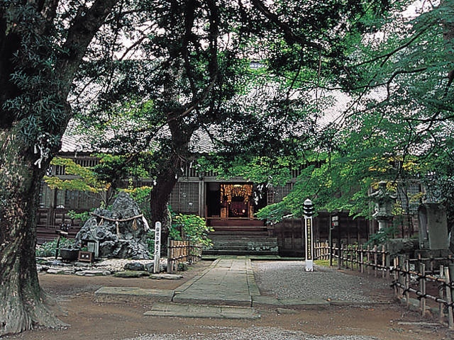 大安禅寺の画像 3枚目