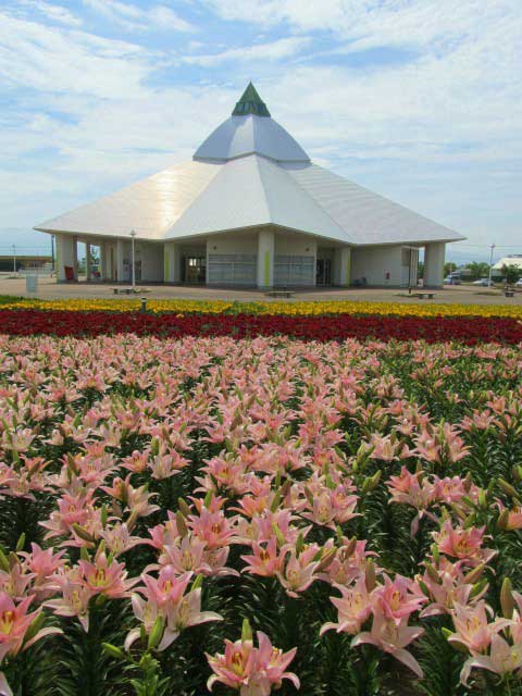 花の駅 ゆりの里公園の画像 1枚目