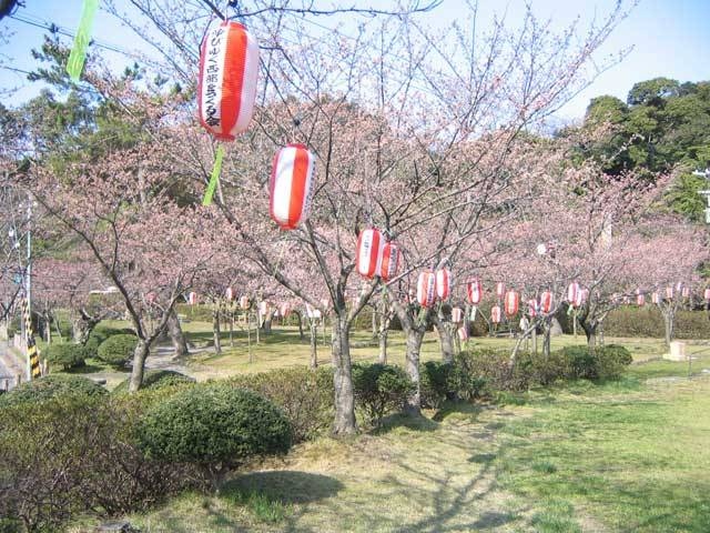 小浜公園