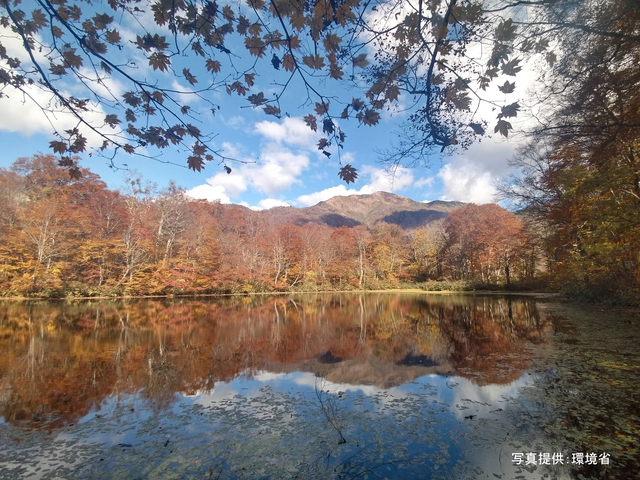 白山国立公園(福井県)の画像 1枚目