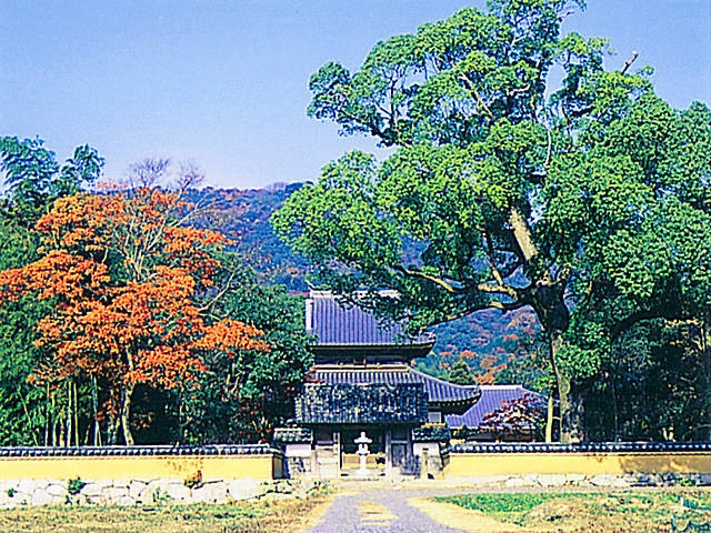 戒壇院の画像 4枚目