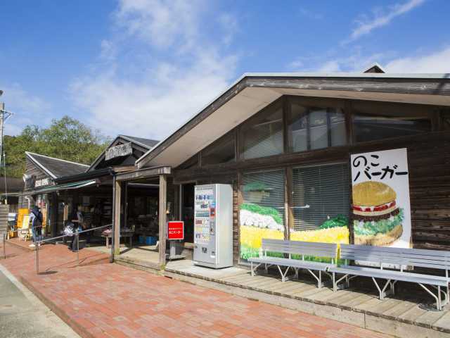 のこの市