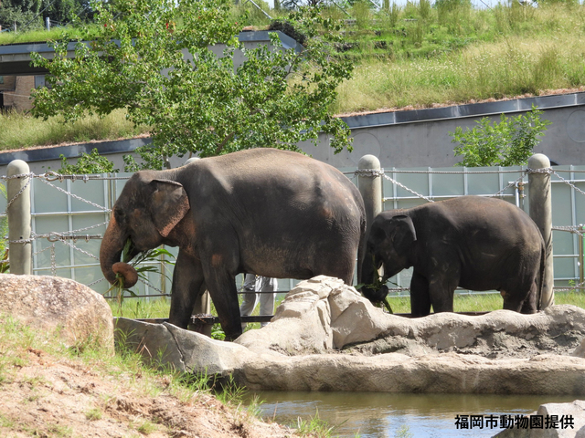 福岡市動植物園の画像 1枚目