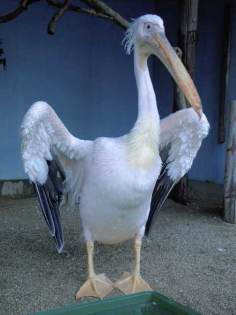 大牟田市動物園
