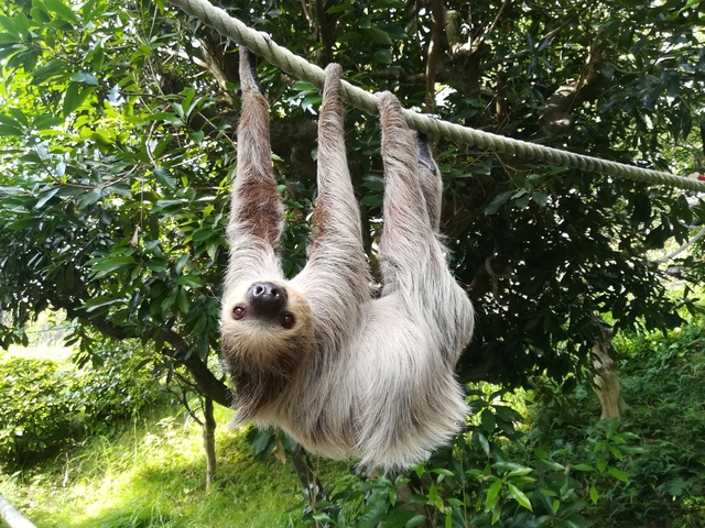 大牟田市動物園の画像 3枚目