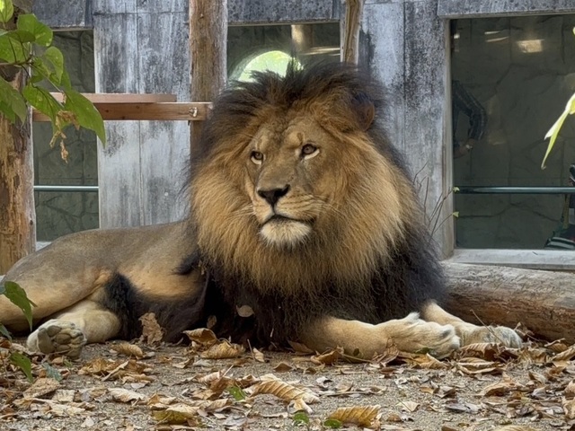 大牟田市動物園の画像 2枚目