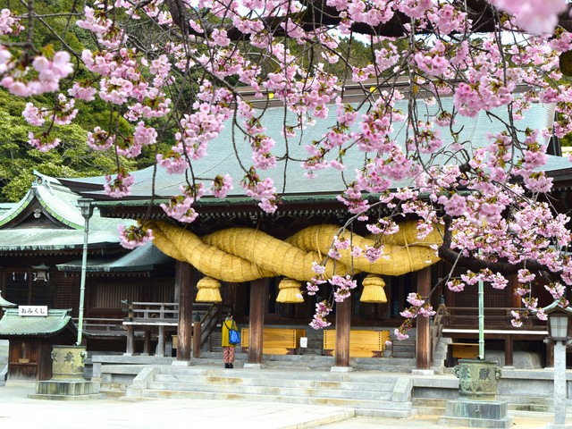 宮地嶽神社の画像 1枚目