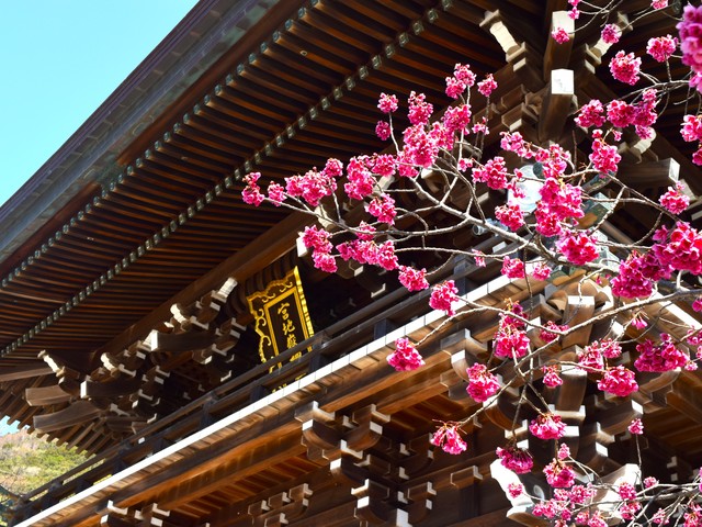 宮地嶽神社の画像 2枚目