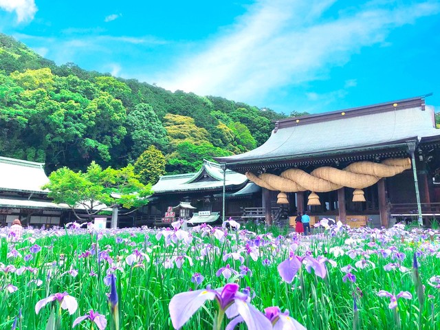 宮地嶽神社の画像 3枚目