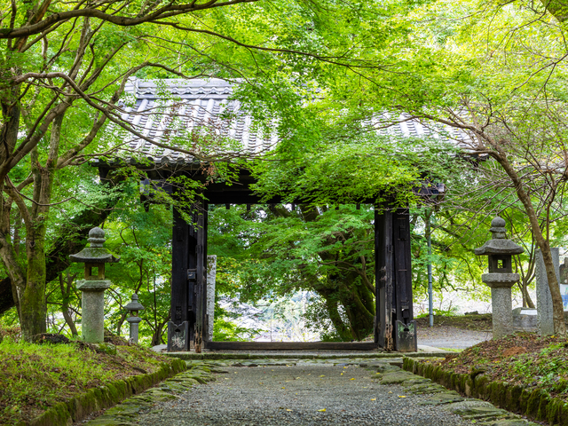 秋月城跡の画像 1枚目