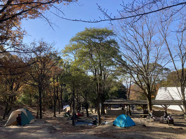一本松公園(昭和の森)の画像 3枚目