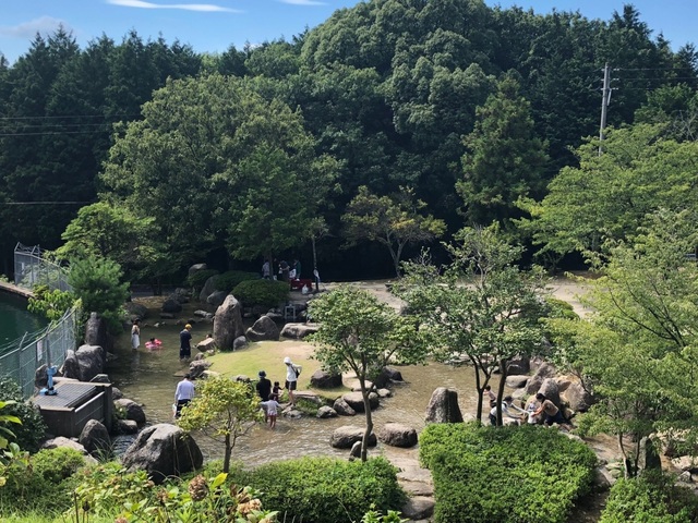 一本松公園(昭和の森)の画像 2枚目