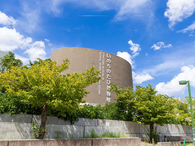 北九州市立いのちのたび博物館(自然史・歴史博物館)の画像 1枚目