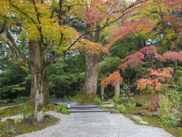 竈門神社の画像 2枚目