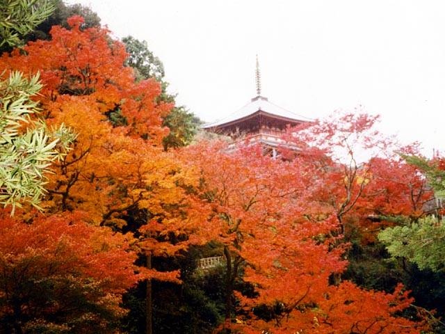 清水寺本坊庭園の画像 1枚目