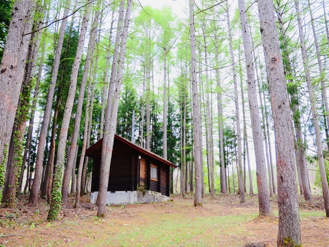 奥会津昭和の森キャンプ場の画像 2枚目