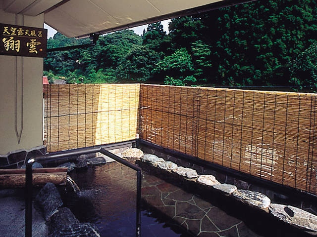 自噴泉の宿 ニュー扇屋の画像 4枚目