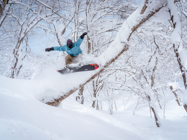 星野リゾート ネコマ マウンテンの画像 2枚目