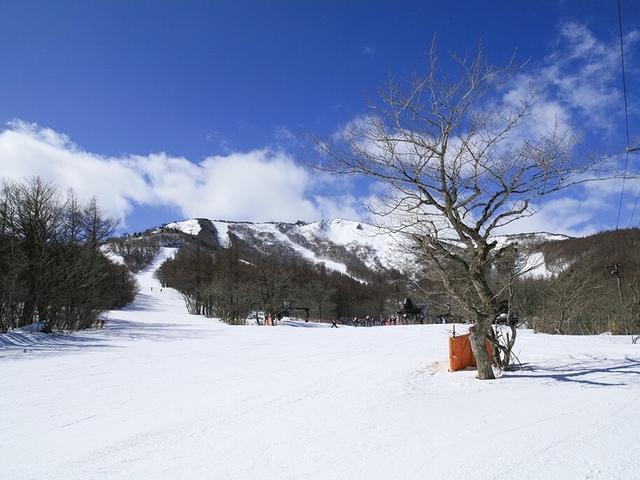 あだたら高原スキー場の画像 3枚目