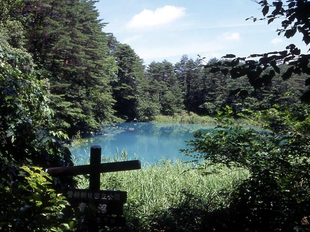 裏磐梯高原