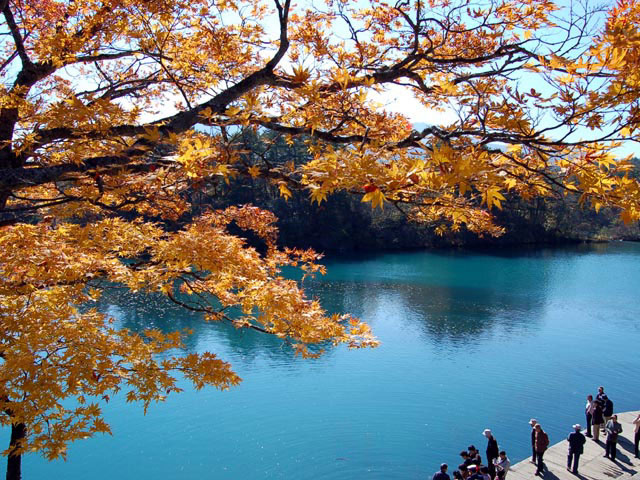 五色沼の紅葉