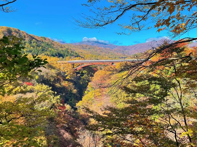 雪割橋の紅葉の画像 1枚目