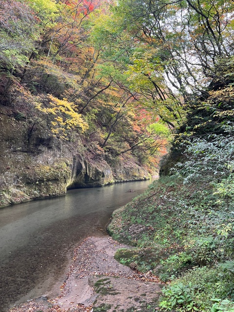 245瀞 West Country Baseの画像 1枚目