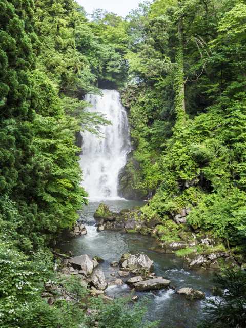 奈曽の白滝の画像 3枚目