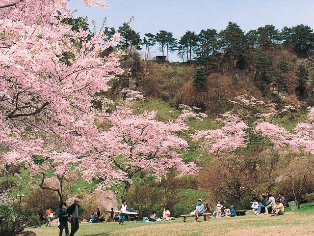 きみまち阪