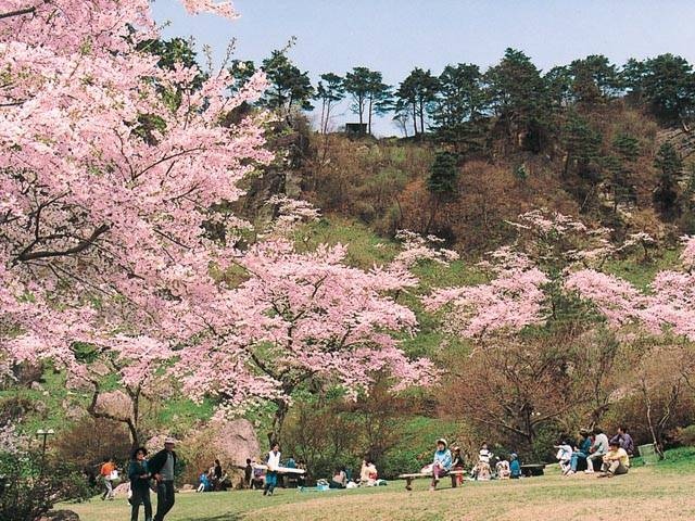 きみまち阪の画像 4枚目