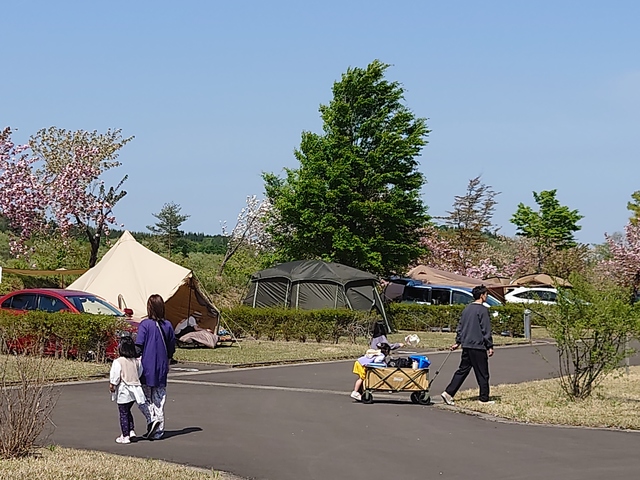 八塩オートキャンプ場の画像 4枚目